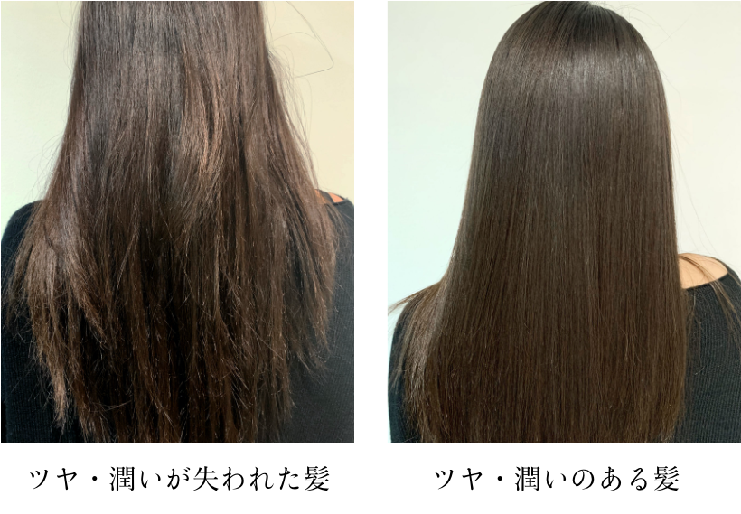 レプレのシャンプートリートメント前後